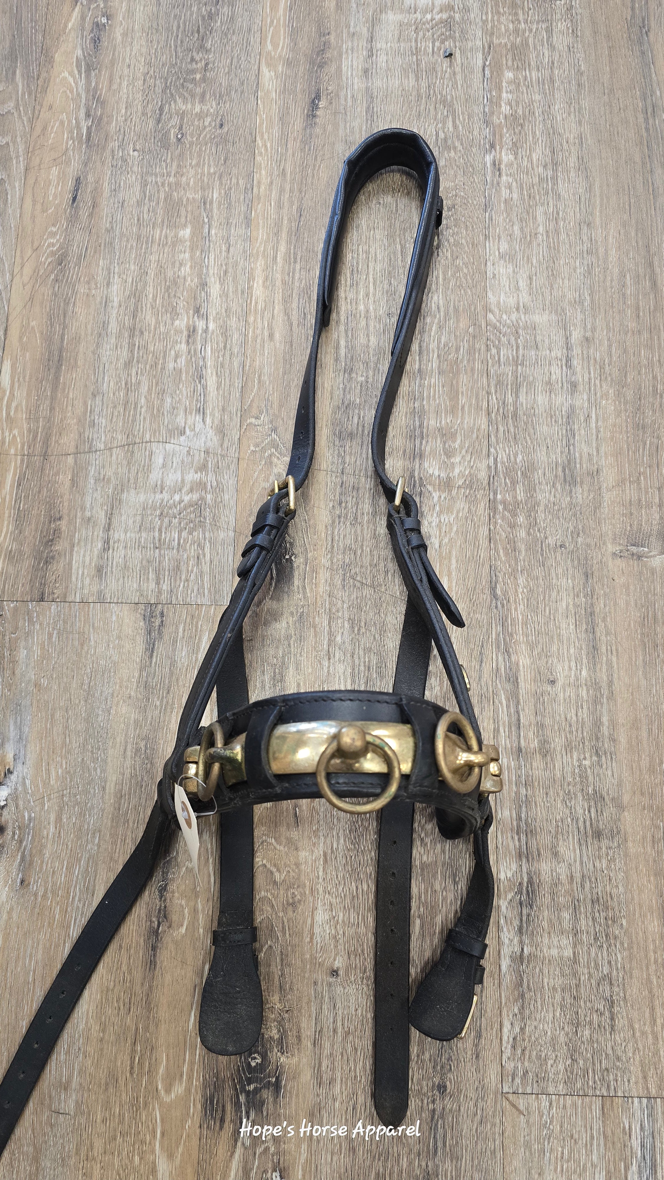 Padded Leather Lunging Cavesson, WB