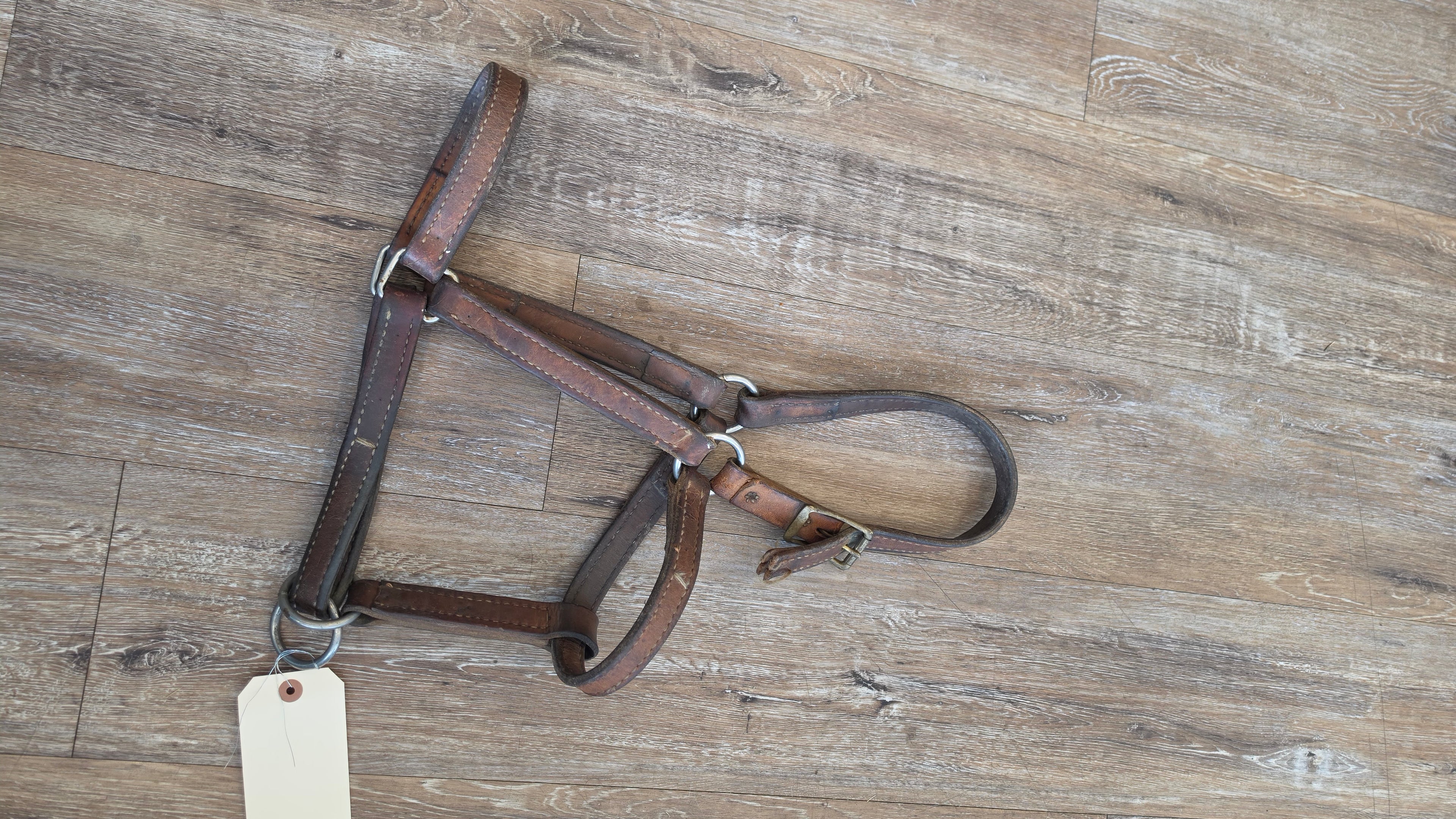 Leather Halter
