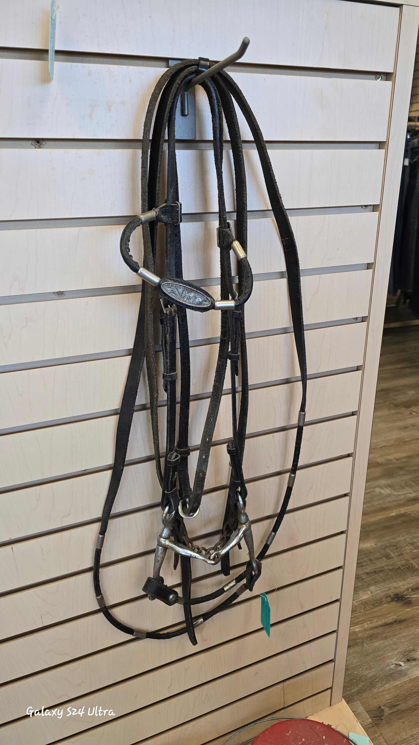 New Headstall with reins