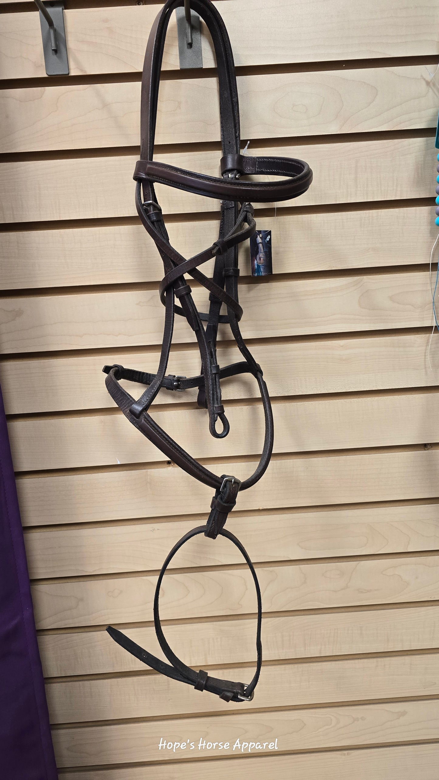 English bridle with flash noseband
