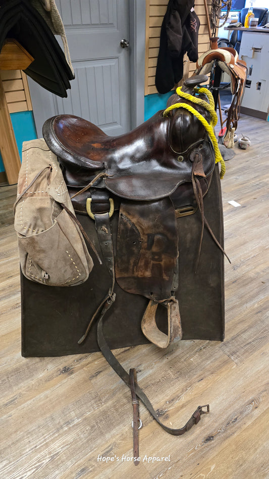 Colt Starting Saddle