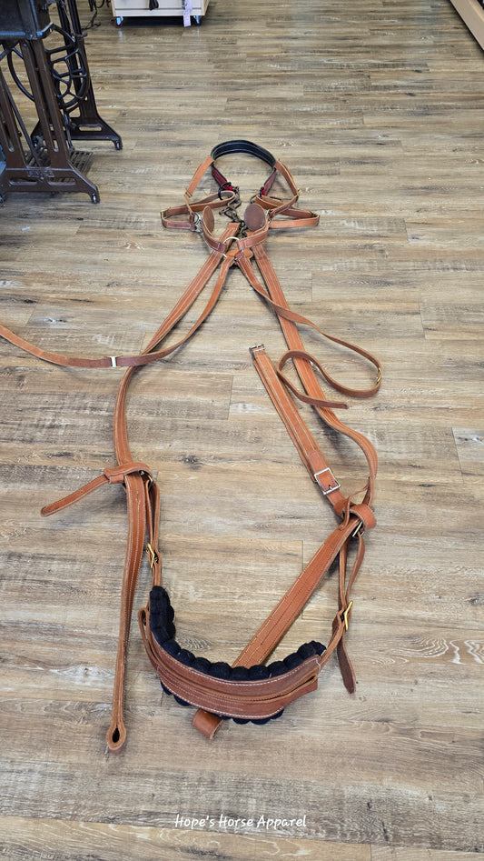 Team Harness