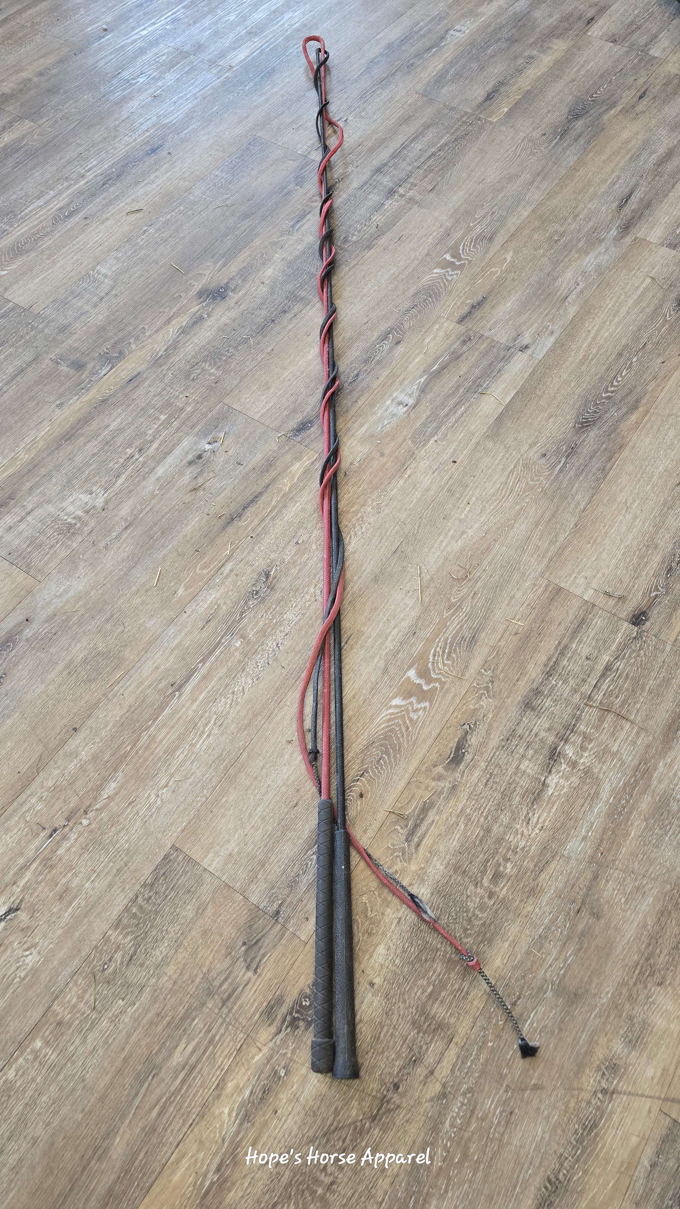 Lunge Whip