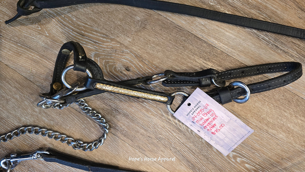 Mini Show Halter with Engraved Silver