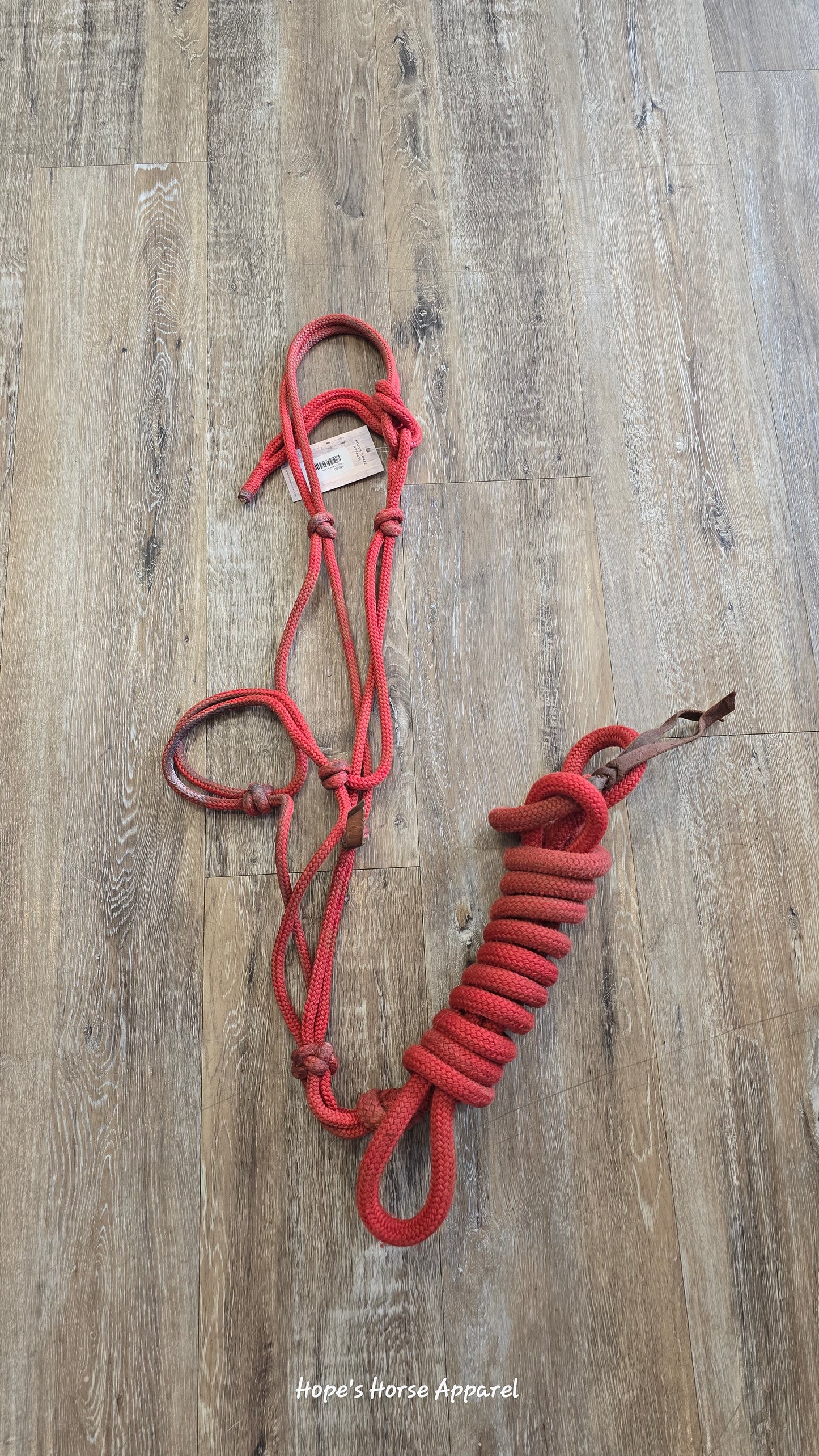 Rope Halter & Lead