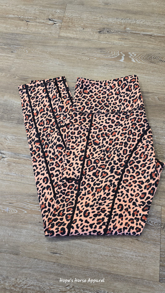 Cavaliere Breeches, xxl