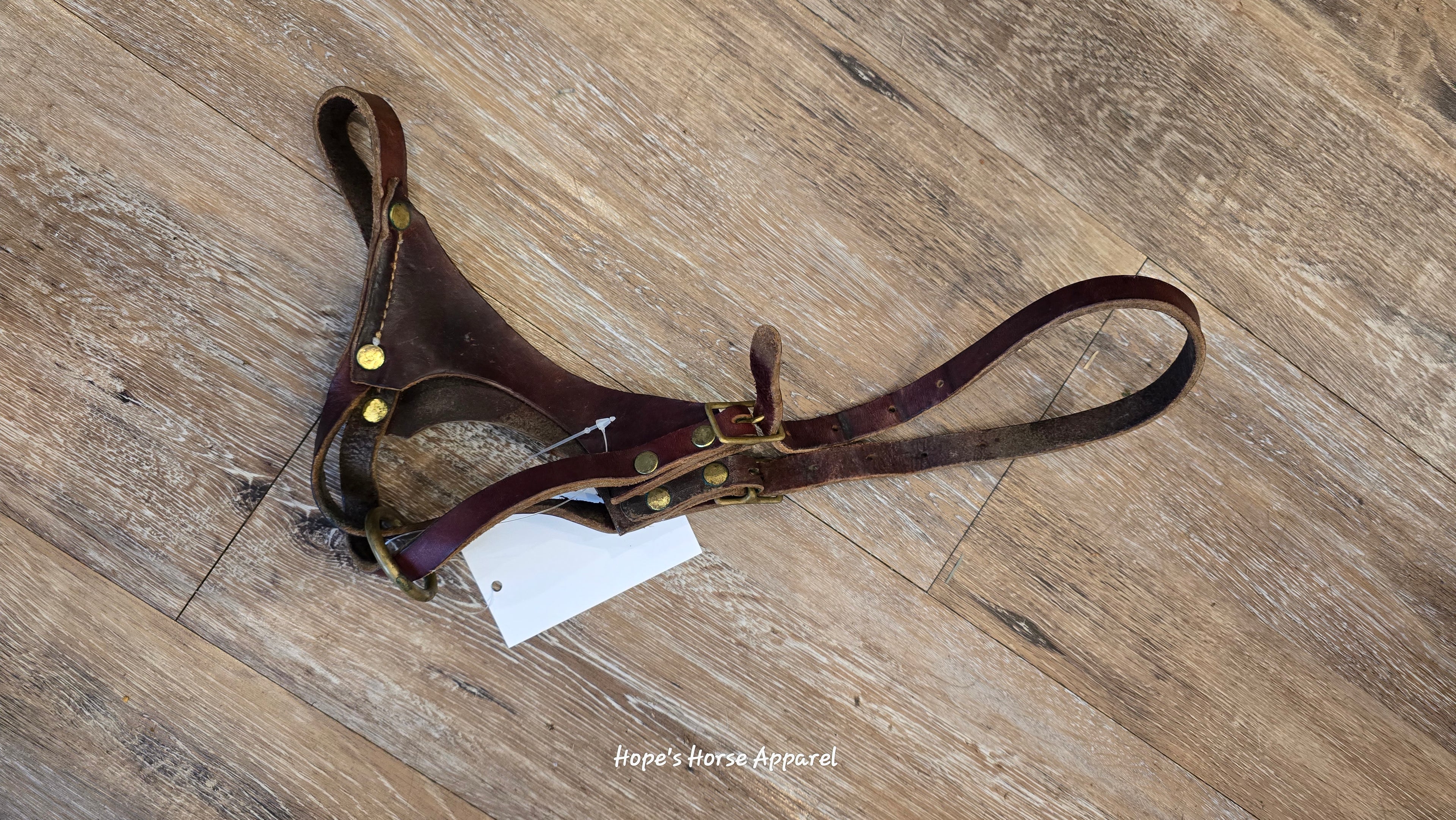 Leather Foal Halter