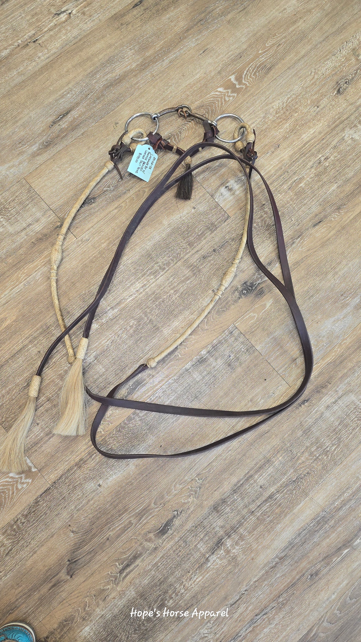 Life Saver Bit with reins