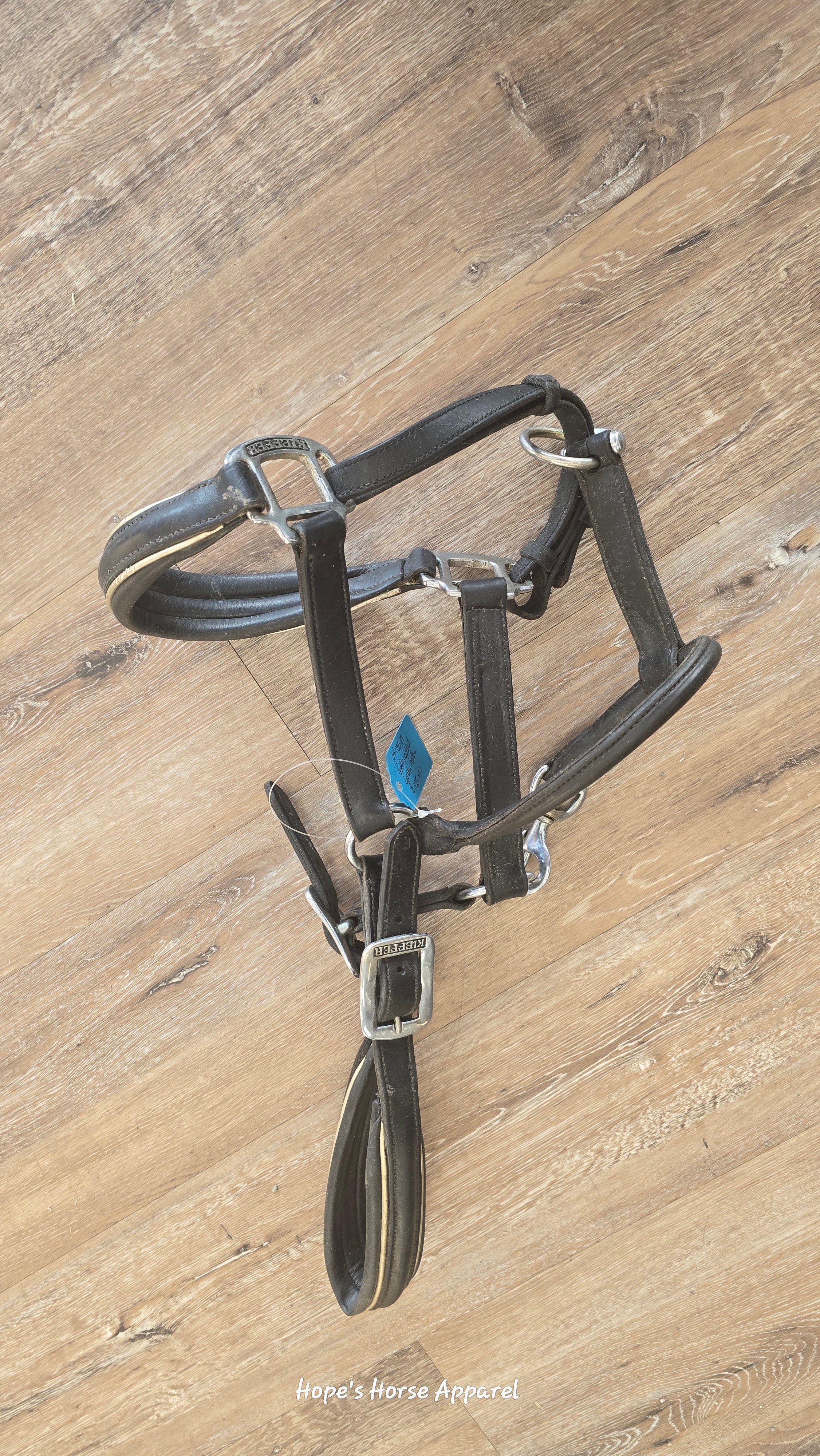 Keiffer Padded Leather Halter