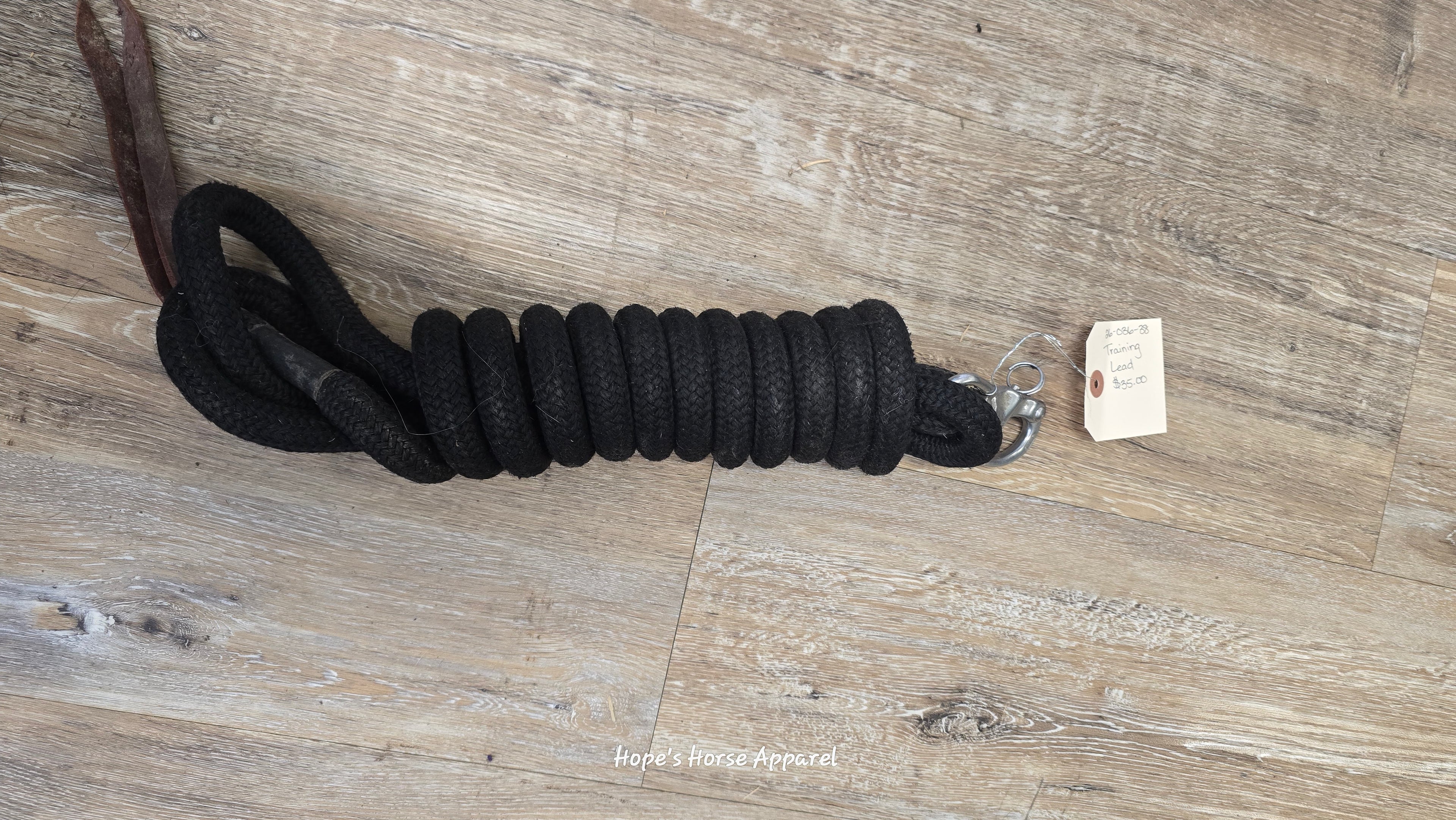 Training Lead