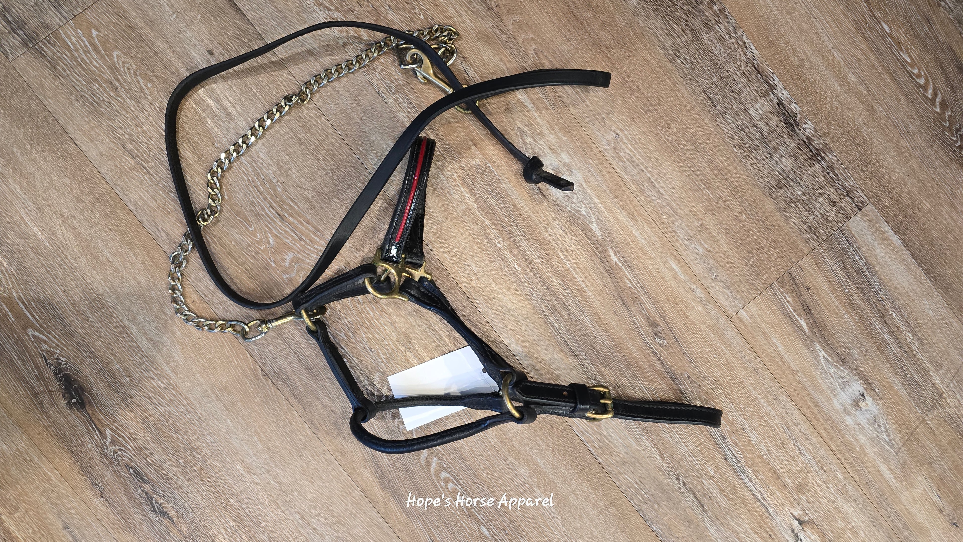 Black & red mini show halter with lead and chain