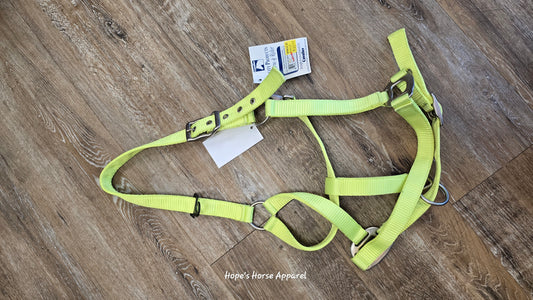 Halter, Horse