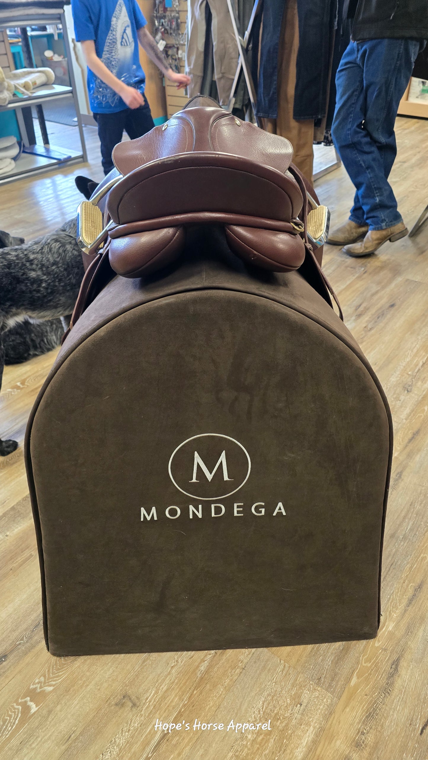 Collegiate Convertible AP Saddle