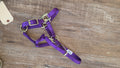 Nylon Foal Halter