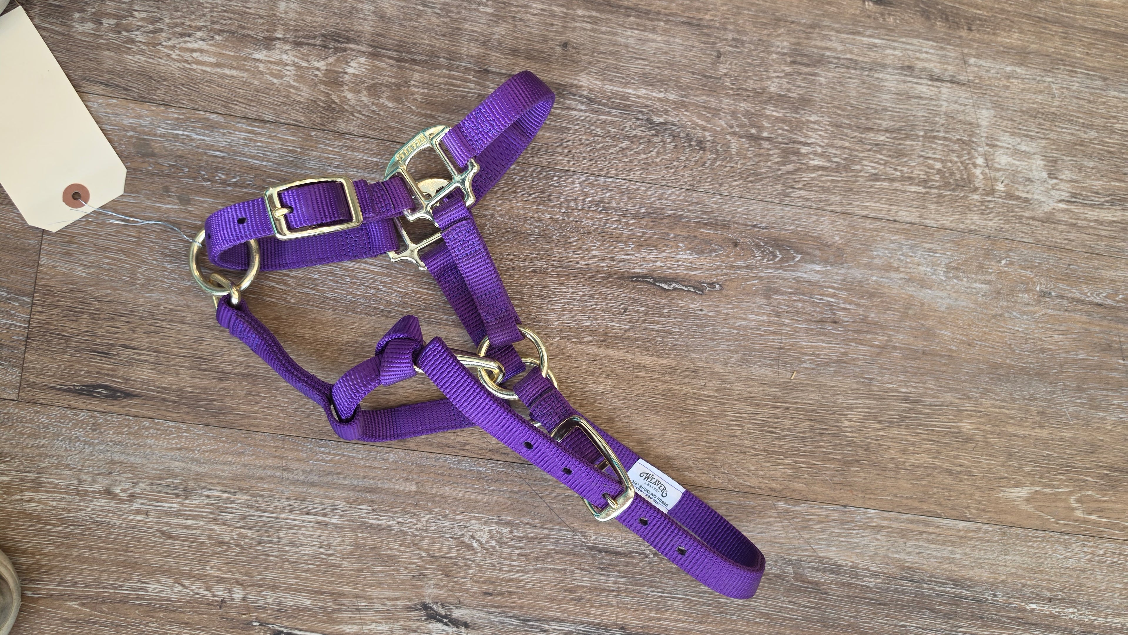 Nylon Foal Halter